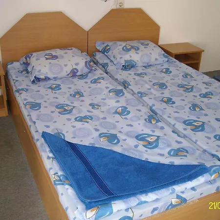 Pansion Petkov - Lemon Garden- Guest house *