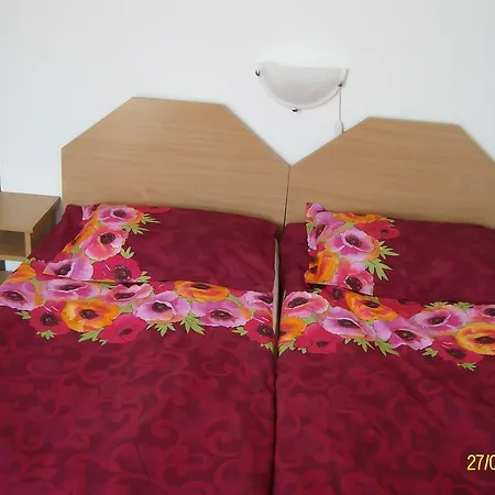 Pansion Petkov - Lemon Garden- Guest house